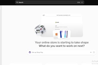 build a professional shopify e commerce store for your business