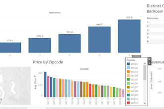 create professional tableau dashboards and data visualizations