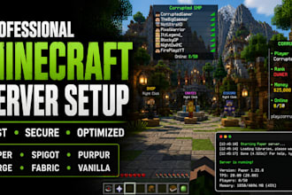 setup and configure a professional minecraft server