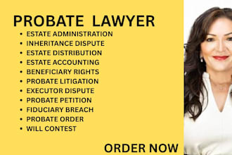 be your ca, ny probate lawyer for inheritance, property, and executor disputes