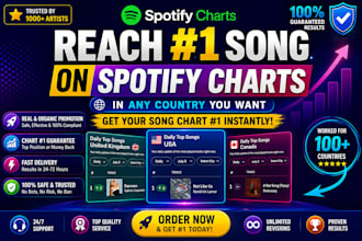 professionally chart your spotify music to top 1 spotify chart in any country