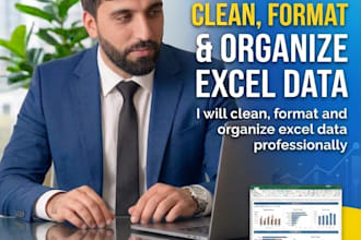 clean, format and organize excel data professionally