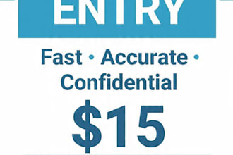do fast accurate medical data entry in excel in 24 hours