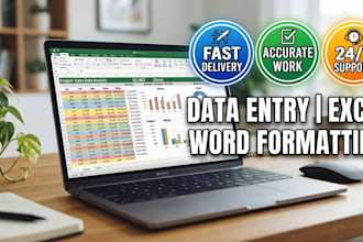 do accurate data entry in ms excel and google sheets with formulas and charts