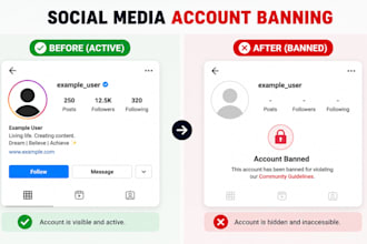 ig ,twitter banning bot, facebook report, harassing post, tiktok ban,mass report