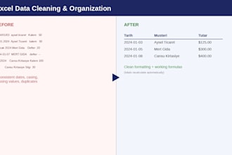 clean, organize and format your messy excel or csv data