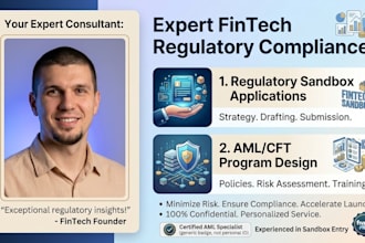 design fintech regulatory sandbox aml cft compliance program consulting