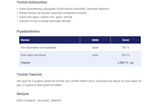 design a professional pdf report or business proposal
