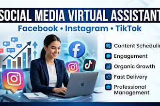 be your facebook, instagram and tiktok virtual assistant, social media manager