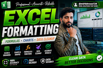 do excel formatting, formulas, charts and spreadsheet cleanup