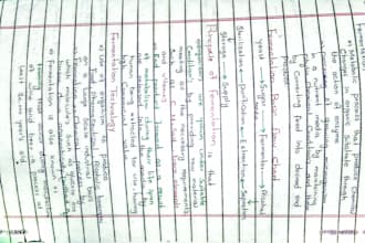 handwrite letters, notes and cards