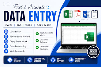 do fast and accurate data entery excel work