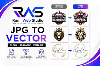 vectorize, redraw or convert your image to vector