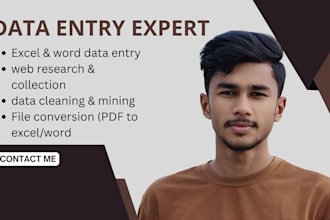 do excel data entry, data cleaning, and web research