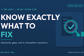 do a local SEO audit and give you a 90 day action plan