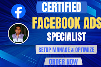 setup and manage facebook ads campaign, instagram ads, and fb ads manager,