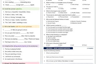 create lesson plans and classroom activities for teachers