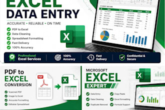 do excel data entry, PDF to excel and data cleaning