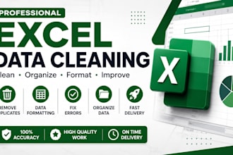 clean, format, organize and clean excel data professionally