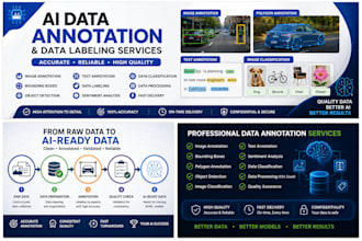 provide accurate data annotation and ai training services