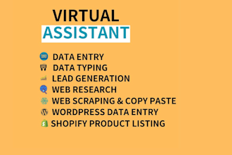 data entry and excel data entry