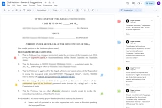 provide legal document consultations