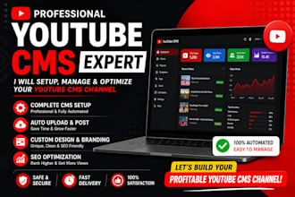 provide professional youtube cms and content management support