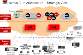 provide remote support for avaya telephony system