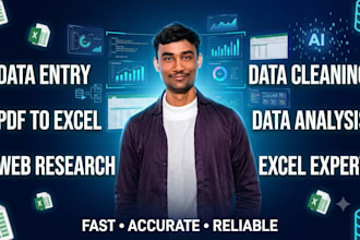 do data entry, cleaning and analysis