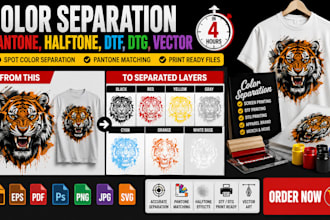 do color separation pantone, halftone, dtf, dtg, vector in 2 hours