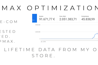 be your expert ecommerce google ads pmax specialist