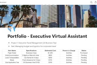 be your remote virtual assistant for data and scheduling