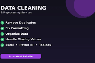 do data cleaning and preprocessing in excel spreadsheet