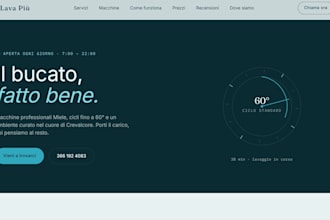 design a professional website for your small business