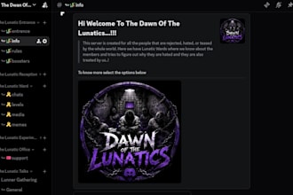 create a professional discord server with channels roles bots and permissions