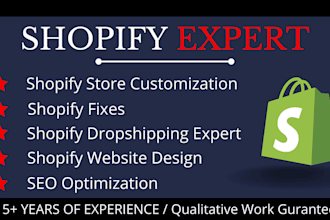 fix shopify bugs, troubleshoot store issues, and optimize shopify fixes