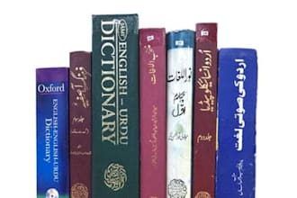 write professional urdu articles, paragraphs  and blog posts