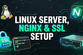 setup linux server nginx ssl domain pointing and web server