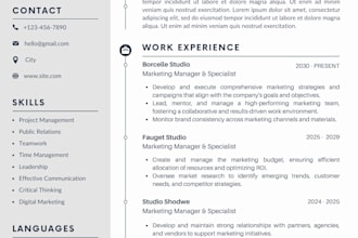 design a professional cv resume