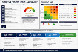 perform an executive project health assessment