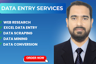 be your expert virtual assistant for data entry ms office