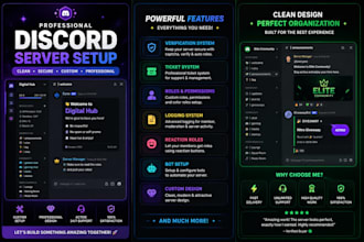 create a professional discord server with bots and permissions