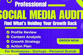 social media audit and create a growth strategy for your business