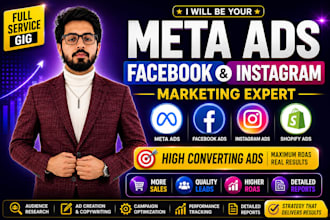 manage facebook ads compaign, meta ads and instagram ads