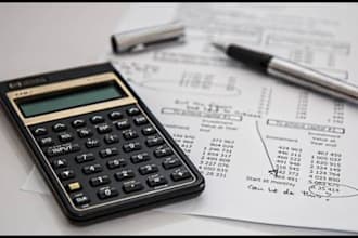 do accounting, bookkeeping, and financial statements