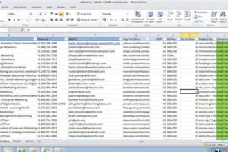 data entry, data cleaning, and excel data management