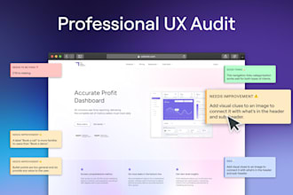 conduct a professional UX design product audit