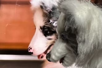 turn your pet into a keychain or ornament