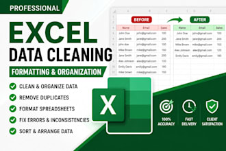 clean, format and organize excel data professionally