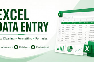 do excel data entry formatting formulas and spreadsheets